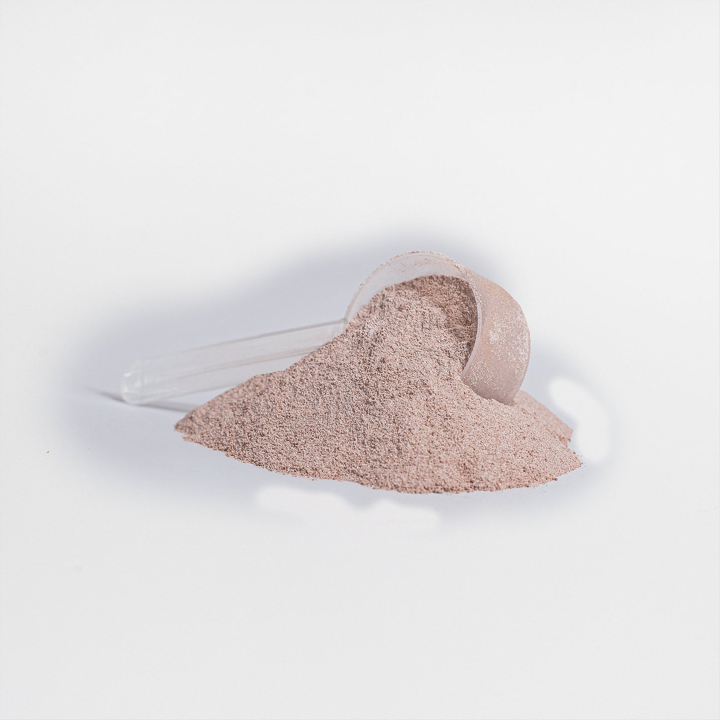 PLANT PROTEIN POWDER - VANILLA