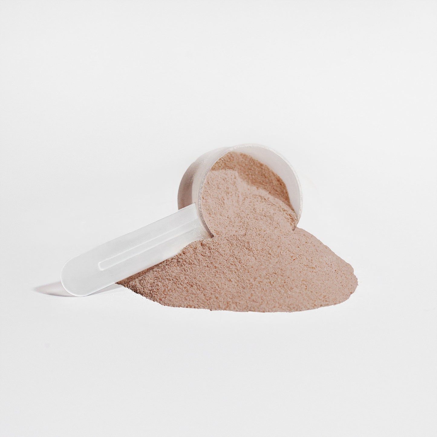 PLANT PROTEIN POWDER - CHOCOLATE